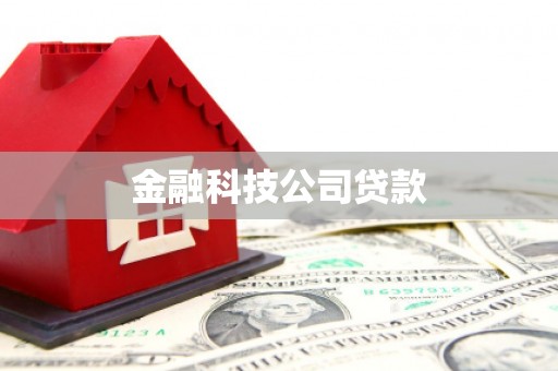 裕华金融科技公司贷款