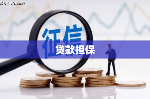 裕华贷款担保