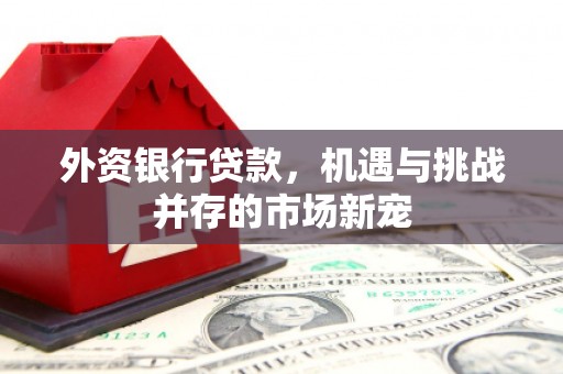裕华外资银行贷款，机遇与挑战并存的市场新宠