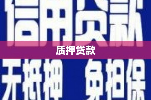 裕华质押贷款