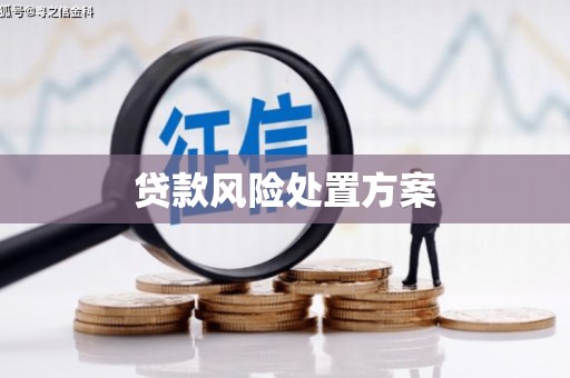 裕华贷款风险处置方案