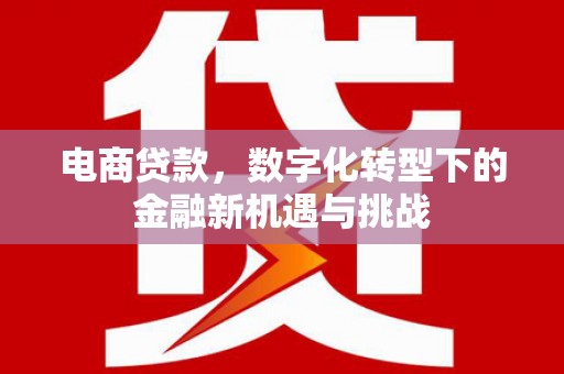 裕华电商贷款，数字化转型下的金融新机遇与挑战
