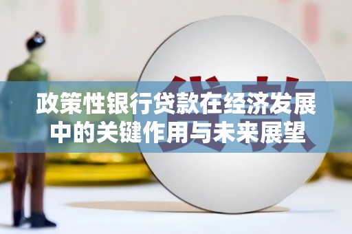 裕华政策性银行贷款在经济发展中的关键作用与未来展望
