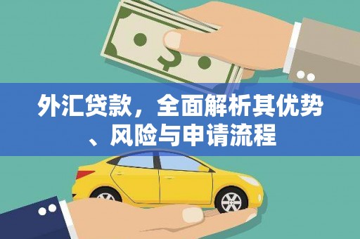 裕华外汇贷款，全面解析其优势、风险与申请流程