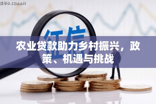 裕华农业贷款助力乡村振兴，政策、机遇与挑战