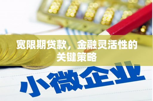 裕华宽限期贷款，金融灵活性的关键策略