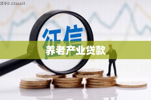 裕华养老产业贷款