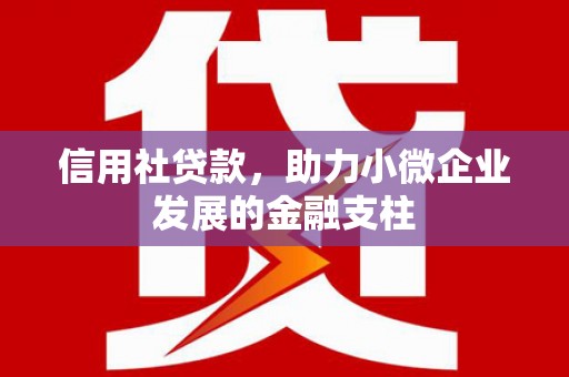 裕华信用社贷款，助力小微企业发展的金融支柱