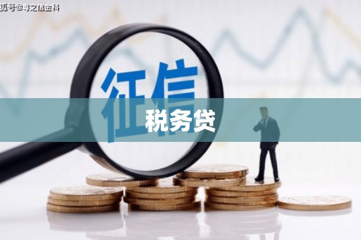 裕华税务贷