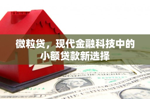 裕华微粒贷，现代金融科技中的小额贷款新选择