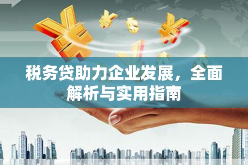 裕华税务贷助力企业发展，全面解析与实用指南