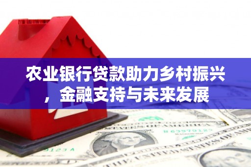裕华农业银行贷款助力乡村振兴，金融支持与未来发展