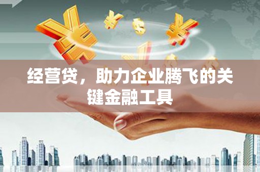 裕华经营贷，助力企业腾飞的关键金融工具