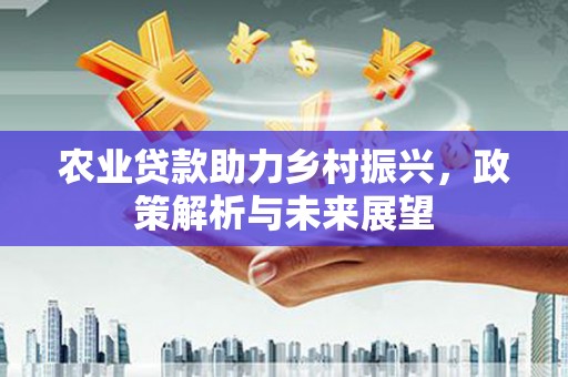 裕华农业贷款助力乡村振兴，政策解析与未来展望