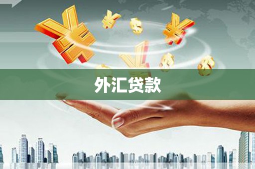 裕华外汇贷款