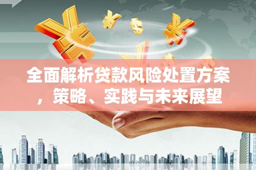 裕华全面解析贷款风险处置方案，策略、实践与未来展望