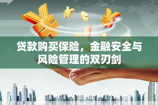 裕华贷款购买保险，金融安全与风险管理的双刃剑