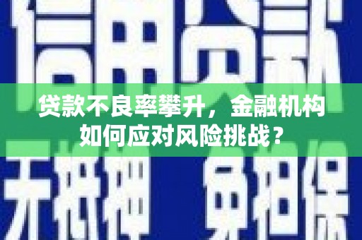 裕华贷款不良率攀升，金融机构如何应对风险挑战？