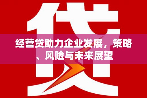 裕华经营贷助力企业发展，策略、风险与未来展望