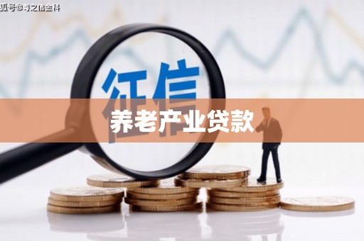 裕华养老产业贷款