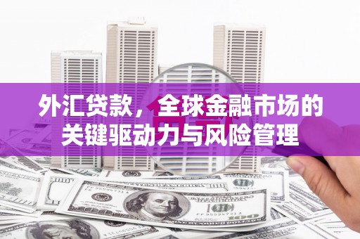 裕华外汇贷款，全球金融市场的关键驱动力与风险管理