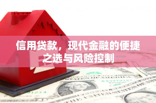 裕华信用贷款，现代金融的便捷之选与风险控制