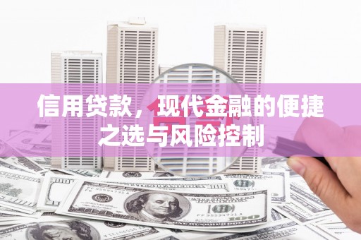 裕华信用贷款，现代金融的便捷之选与风险控制