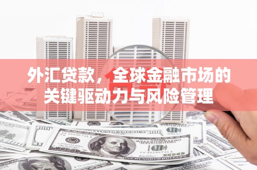 裕华外汇贷款，全球金融市场的关键驱动力与风险管理