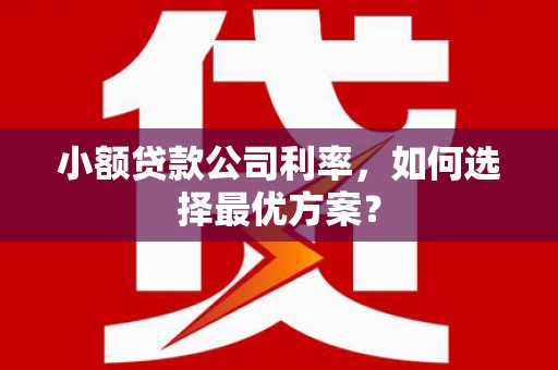 裕华小额贷款公司利率，如何选择最优方案？