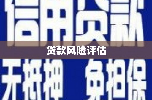 裕华贷款风险评估
