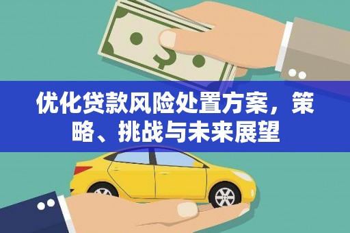 裕华优化贷款风险处置方案，策略、挑战与未来展望