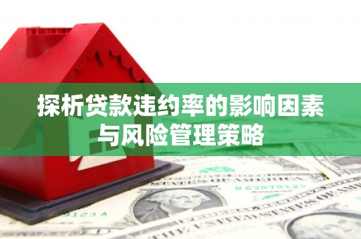 裕华探析贷款违约率的影响因素与风险管理策略