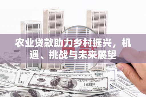 裕华农业贷款助力乡村振兴，机遇、挑战与未来展望