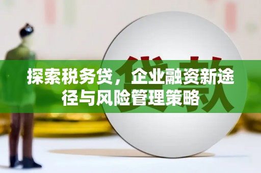 裕华探索税务贷，企业融资新途径与风险管理策略