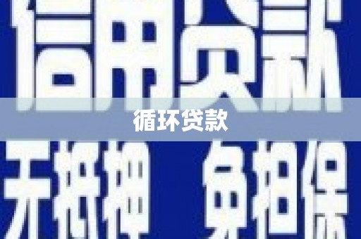 裕华循环贷款