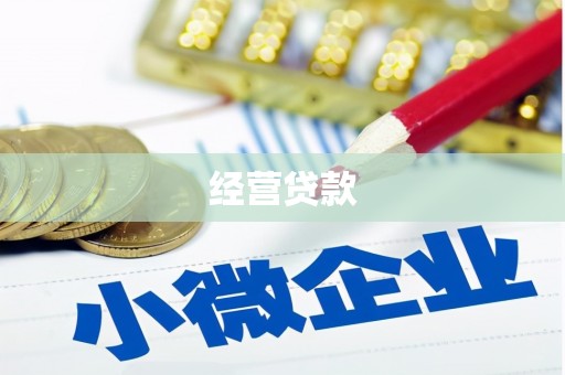 裕华经营贷款
