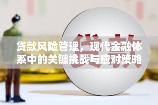 裕华贷款风险管理，现代金融体系中的关键挑战与应对策略