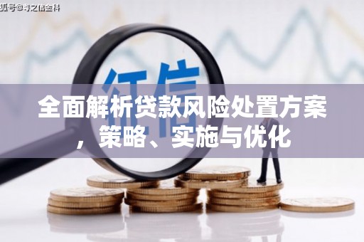 裕华全面解析贷款风险处置方案，策略、实施与优化