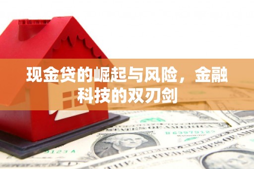 裕华现金贷的崛起与风险，金融科技的双刃剑