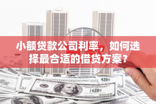 裕华小额贷款公司利率，如何选择最合适的借贷方案？