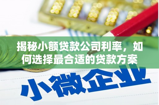 裕华揭秘小额贷款公司利率，如何选择最合适的贷款方案