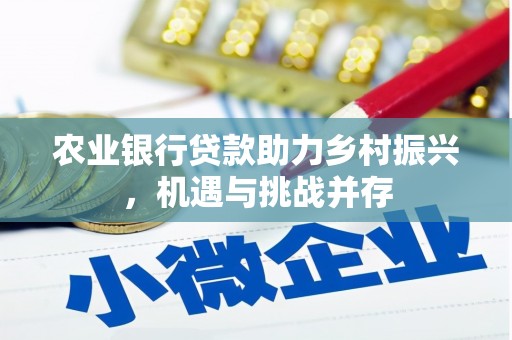 裕华农业银行贷款助力乡村振兴，机遇与挑战并存