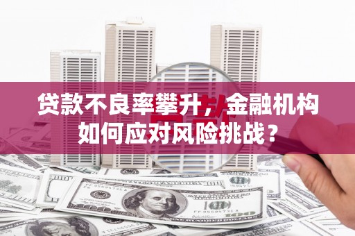 裕华贷款不良率攀升，金融机构如何应对风险挑战？