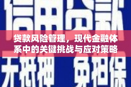裕华贷款风险管理，现代金融体系中的关键挑战与应对策略