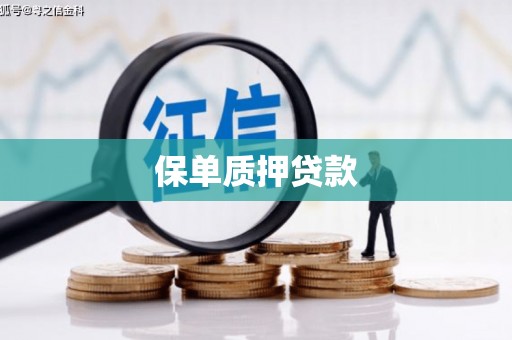 裕华保单质押贷款