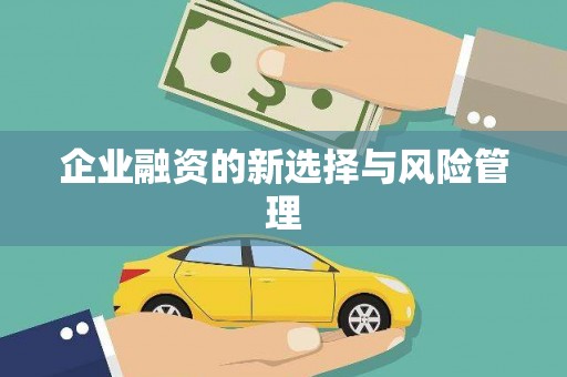 裕华企业融资的新选择与风险管理