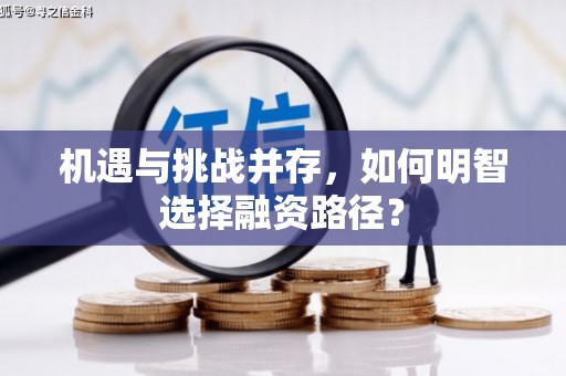 裕华机遇与挑战并存，如何明智选择融资路径？
