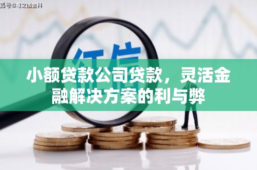裕华小额贷款公司贷款，灵活金融解决方案的利与弊